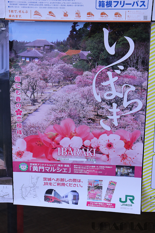 c bon le Japon-26
