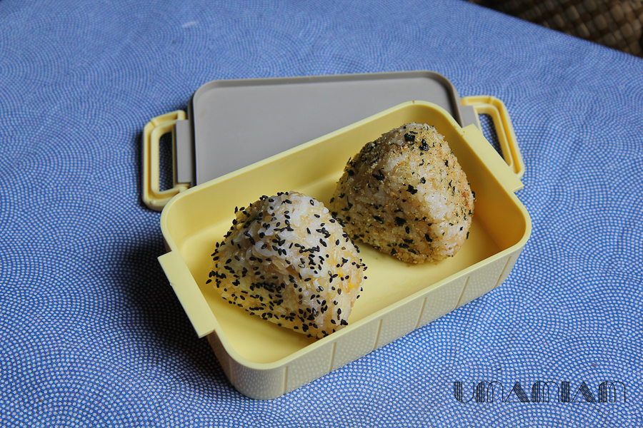 onigiri-7